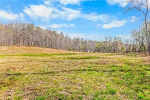 0 Farm Rd, Pilot Mountain, NC 27041 - Photo 13