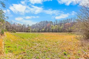 0 Farm Rd, Pilot Mountain, NC 27041 - Photo 7