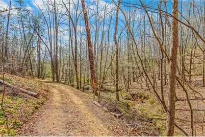 0 Farm Road, Pilot Mountain, NC 27041 - Photo 15