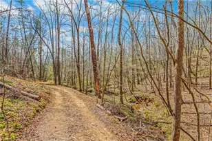 0 Farm Rd, Pilot Mountain, NC 27041 - Photo 15