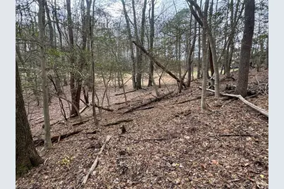 Tbd Ward Circle Drive, Sparta, NC 28675 - Photo 19