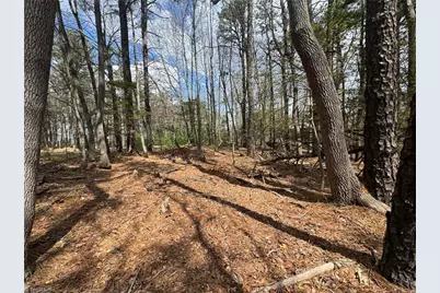 Tbd Ward Circle Drive, Sparta, NC 28675 - Photo 7