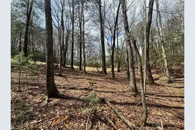 Tbd Ward Circle Drive, Sparta, NC 28675 - Photo 15