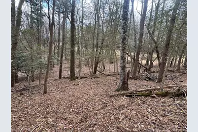 Tbd Ward Circle Drive, Sparta, NC 28675 - Photo 11