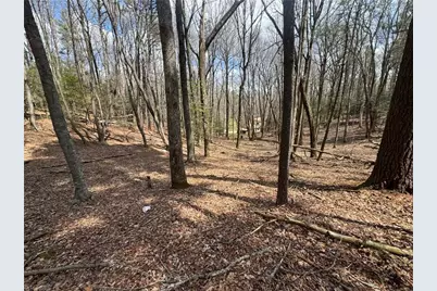 Tbd Ward Circle Drive, Sparta, NC 28675 - Photo 13