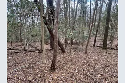 Tbd Ward Circle Drive, Sparta, NC 28675 - Photo 9