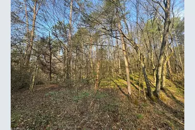 Tbd Billings Hill Church Road, Traphill, NC 29868 - Photo 13