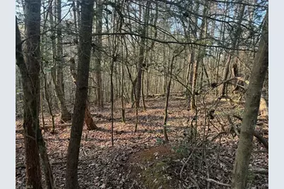 Tbd Billings Hill Church Road, Traphill, NC 29868 - Photo 7