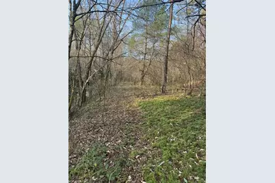 Tbd Billings Hill Church Road, Traphill, NC 29868 - Photo 11