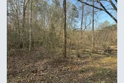 Tbd Billings Hill Church Road, Traphill, NC 29868 - Photo 9