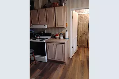 4406 Keno Road, Laurel Fork, VA 24352 - Photo 9