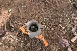 1781 Brushy Mountain Rd, Wilkesboro, NC 28697 - Photo 35