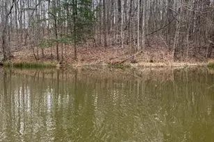 686 Bennett Rd, Stoneville, NC 27048 - Photo 1