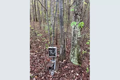 5001 Mecum Road, Walkertown, NC 27051 - Photo 17