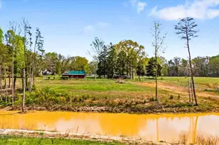 1664 Estes Rd, Ruffin, NC 27326 - Photo 49