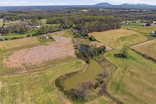 2452 Tower Rd, East Bend, NC 27018 - Photo 49