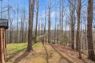 236 Jacobs Creek Rd, Madison, NC 27025 - Photo 47