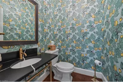 1 Captains Point, Greensboro, NC 27455 - Photo 25