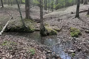 5618 Farmstead Rd, Seagrove, NC 27341 - Photo 29