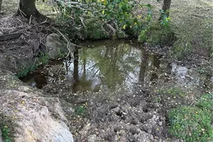 5618 Farmstead Rd, Seagrove, NC 27341 - Photo 25