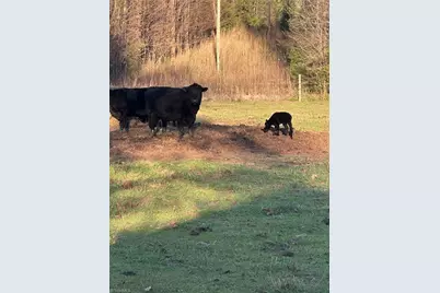 5618 Farmstead Road, Seagrove, NC 27341 - Photo 11