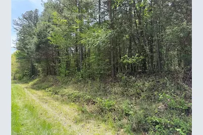 0 Clyde King Road, Seagrove, NC 27341 - Photo 1