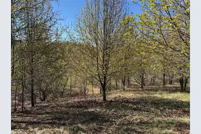 Tbd (Lot 21 & 22) Martha Lane, Piney Creek, NC 28663 - Photo 7