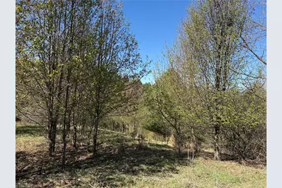 Tbd (Lot 21 & 22) Martha Lane, Piney Creek, NC 28663 - Photo 9