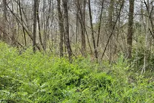 00 Old Walker Mill Rd, Randleman, NC 27317 - Photo 1