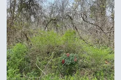 00 Old Walker Mill Road, Randleman, NC 27317 - Photo 3