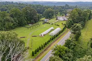 1009 Ray Loop Rd, Westfield, NC 27053 - Photo 47