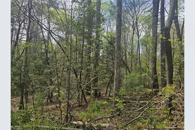 00 Spring Drive, North Wilkesboro, NC 28659 - Photo 9