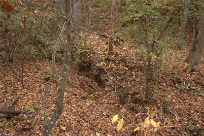 00 Griffin Road, Stokesdale, NC 27357 - Photo 19