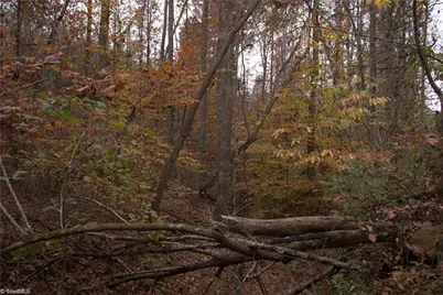 00 Griffin Road, Stokesdale, NC 27357 - Photo 13