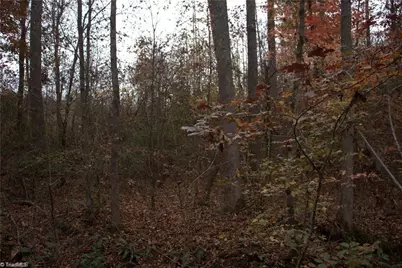 00 Griffin Road, Stokesdale, NC 27357 - Photo 11