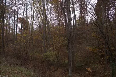 00 Griffin Road, Stokesdale, NC 27357 - Photo 7