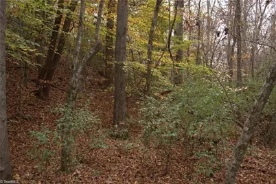 00 Griffin Road, Stokesdale, NC 27357 - Photo 23