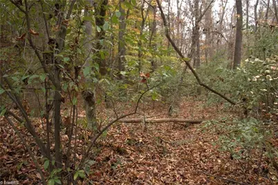 00 Griffin Road, Stokesdale, NC 27357 - Photo 21