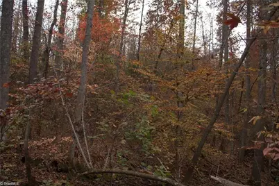 00 Griffin Road, Stokesdale, NC 27357 - Photo 15