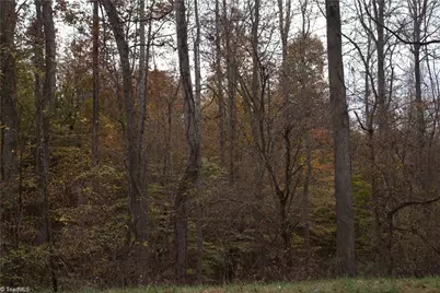 00 Griffin Road, Stokesdale, NC 27357 - Photo 29