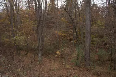 00 Griffin Road, Stokesdale, NC 27357 - Photo 5