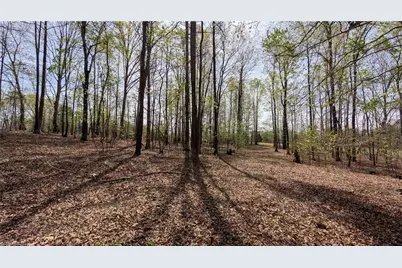 441 Reddie Road, Stoneville, NC 27048 - Photo 13