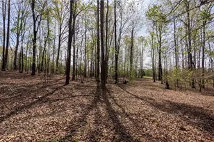 441 Reddie Rd, Stoneville, NC 27048 - Photo 13