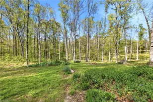 4348 Brandy Rd, Greensboro, NC 27407 - Photo 31