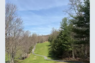 217 Fairview Drive, Traphill, NC 28685 - Photo 47