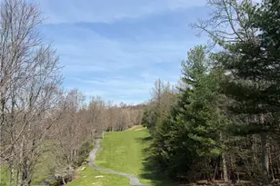 217 Fairview Dr, Traphill, NC 28685 - Photo 47