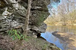 00 Seven Island Rd, Danbury, NC 27016 - Photo 1