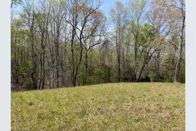 00 Seven Island Road, Danbury, NC 27016 - Photo 13