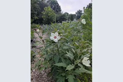 1326 Stonewall Avenue, Burlington, NC 27217 - Photo 27