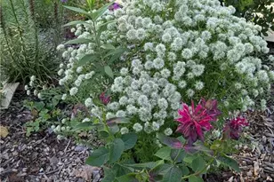 1326 Stonewall Ave, Burlington, NC 27217 - Photo 25